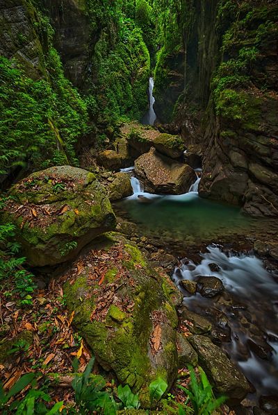 Winning nature forest photo